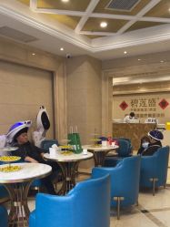 -碧莲盛·不剃发植发