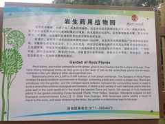-广西壮族自治区药用植物园
