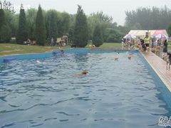 -酷迪宠物公园