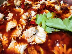 -重庆乌鱼庄·龙滋鲜(青羊大道店)