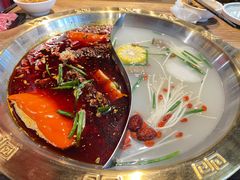 -宽窄巷子鲜牛火锅(北京首店)
