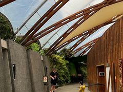 -怀托摩萤火虫洞