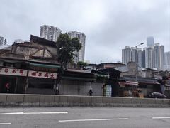 -油麻地果栏