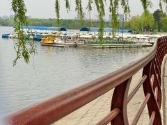 -长春市南湖公园