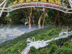 -亚龙湾热带天堂森林公园