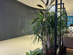 -THE WOODS 简餐 (国贸商城店)