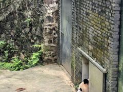 -都江堰中华大熊猫苑