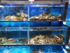 水产区-盒马鲜生(皇庭广场店)