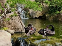 -罗红摄影艺术馆