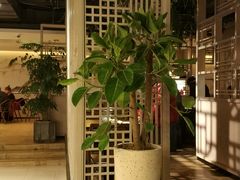 -苕上人家餐厅(湖州店)