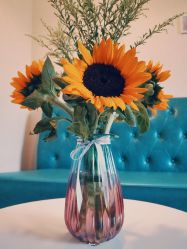 -SKIN MOLY魔力之肌皮肤管理中心