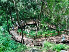 -大岭沟猕猴桃谷风景区