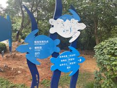 -广东惠东海龟国家级自然保护区