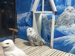 -成都浩海立方海洋公园