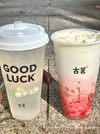 这个夏天！靠它续命了！！