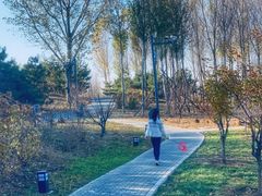 -东郊湿地公园