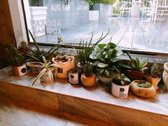 -ADO KAFE(大学城店)