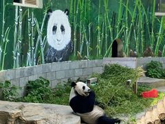 -南昌动物园