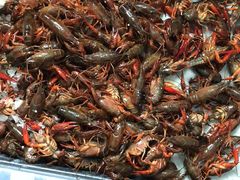 -江杨农产品批发市场