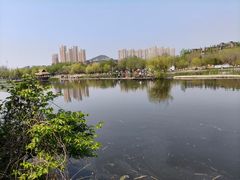 -前关湿地公园