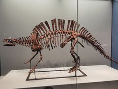 -湖南省地质博物馆