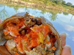 -乡乐园蟹庄·阳澄湖农家乐