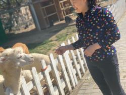 -上美四季动物农场