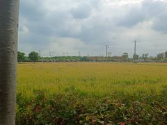 -嘉北郊野公园