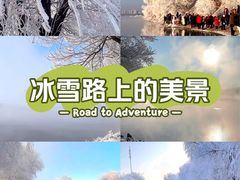 -雾凇岛