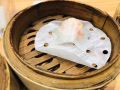 -台山颐和温泉城