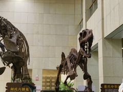 -广西壮族自治区博物馆