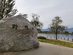-野鸭湖国家湿地公园