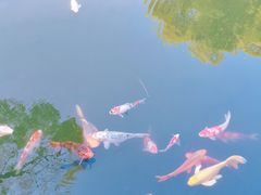 -杭州西湖柳莺里酒店
