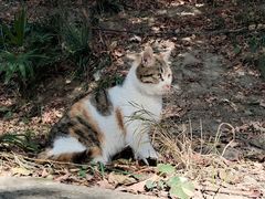 -狼山风景名胜区