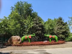 -长白岛森林公园