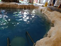 -中铁花水湾四季温泉谷