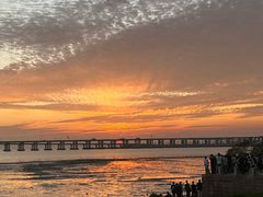 -宝安西湾红树林湿地公园