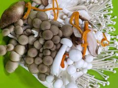 -东来顺铜锅炭火涮肉(上地华联店)