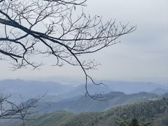 -莫干山风景区