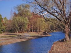 -上海共青森林公园