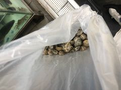 -盒马鲜生(大成店)