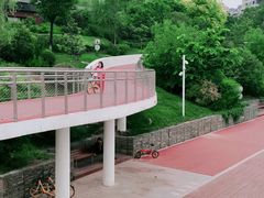 -灞河西岸滨河公园