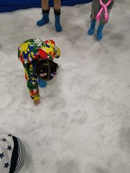 -Mr·Kuma酷么先生雪之乐园
