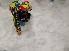 -Mr·Kuma酷么先生雪之乐园