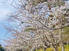 -心斋桥