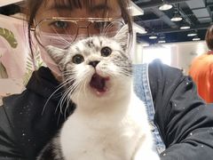 -藏猫猫咖啡主题馆(中央大道店)