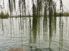 -济南大明湖景区