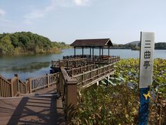 -上海市保健医疗中心(华东疗养院)
