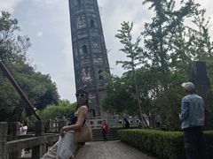 -上海佘山国家森林公园天马山园