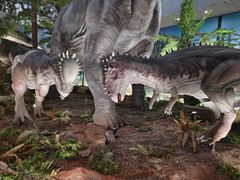 -湖南省地质博物馆